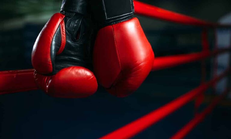Herramientas Para El Boxeo