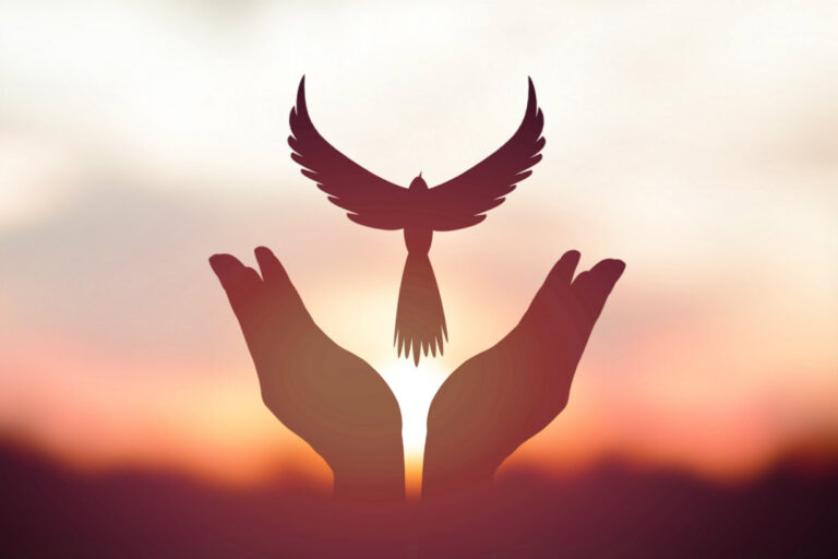 ¿Cómo Se Puede Mejorar El Prestigio De La Paz?