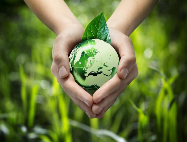 ¿Cómo Se Puede Mejorar El Prestigio Del Medio Ambiente?