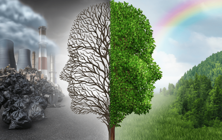 ¿Por Qué Es Importante El Prestigio Para El Medio Ambiente?